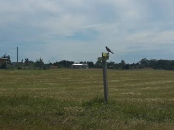 LOTES - SAN EDUARDO DEL MAR - RUTA 11